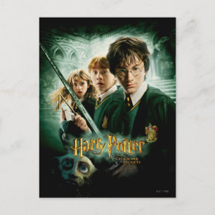 Harry Potter Ron Hermione Dobby Group Shot Postcard