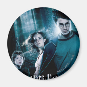 Harry Potter Ron Hermione In Forest Magnet