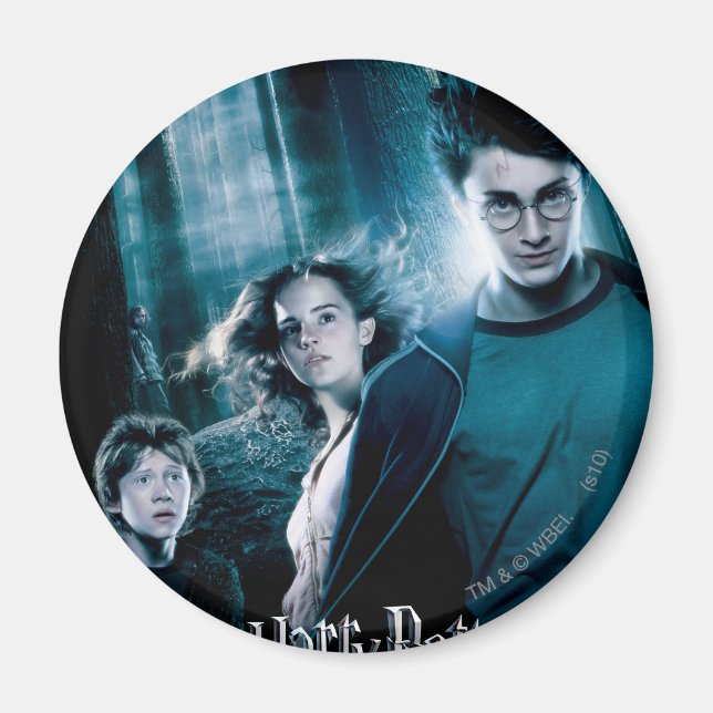 Harry Potter Ron Hermione In Forest Magnet (Front)