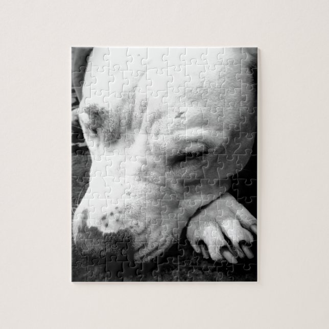 harry potter scar dog white pit bull jigsaw puzzle (Vertical)