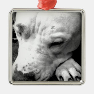 harry potter scar dog white pit bull metal tree decoration