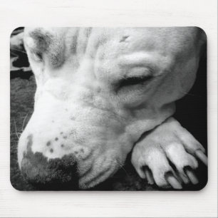 harry potter scar dog white pit bull mouse mat