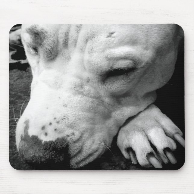 harry potter scar dog white pit bull mouse mat (Front)