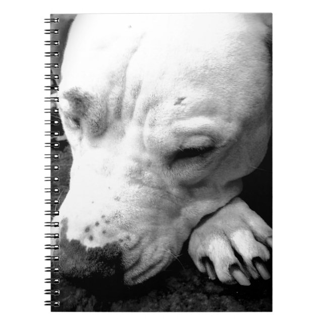 harry potter scar dog white pit bull notebook (Front)