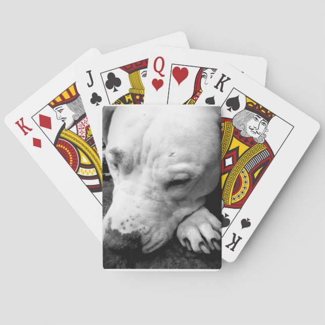 harry potter scar dog white pit bull playing cards (Back)