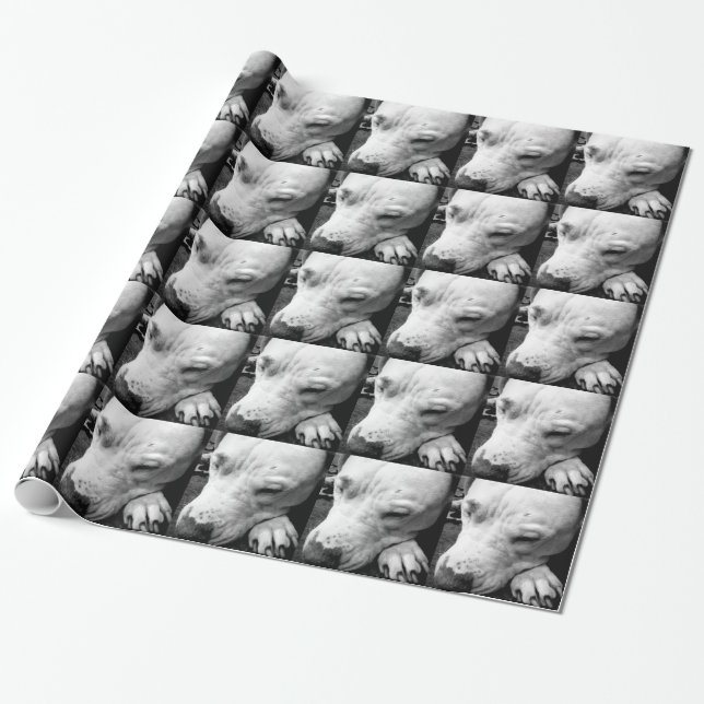 harry potter scar dog white pit bull wrapping paper (Unrolled)