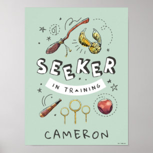 HARRY POTTER™ Seeker in Training Poster