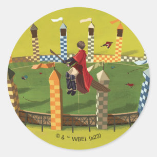 HARRY POTTER™ Seeking the Golden Snitch Classic Round Sticker