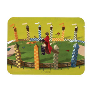 HARRY POTTER™ Seeking the Golden Snitch Magnet