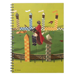 HARRY POTTER™ Seeking the Golden Snitch Notebook