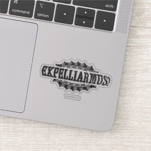 Harry Potter Spell   Expelliarmus!