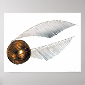 Harry Potter Spell | Golden Snitch Poster