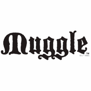 Harry Potter Spell   Muggle Photo Sculpture Magnet