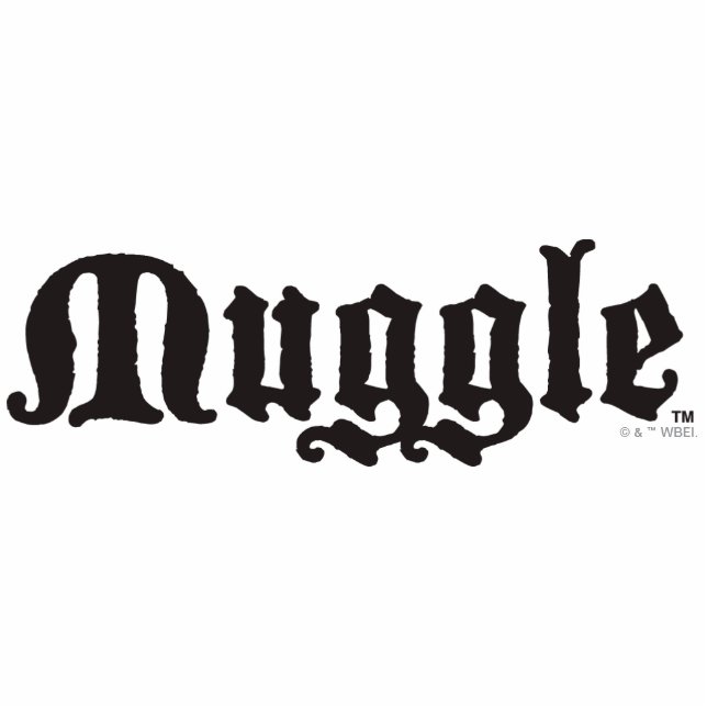 Harry Potter Spell | Muggle Photo Sculpture Magnet (Front)