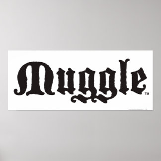 Harry Potter Spell | Muggle Poster