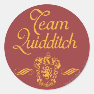 Harry Potter   Team QUIDDITCH™ Classic Round Sticker