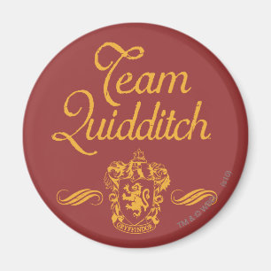 Harry Potter   Team QUIDDITCH™ Magnet