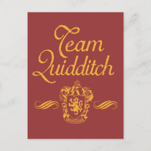 Harry Potter Team QUIDDITCH™ Postcard