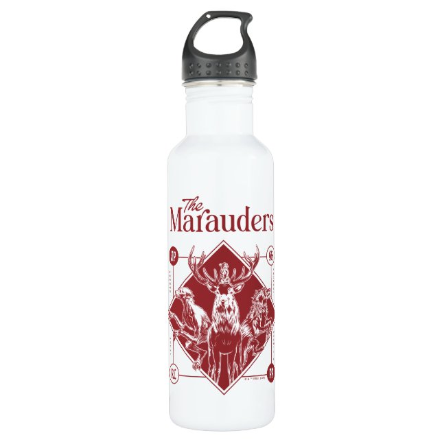 HARRY POTTER™ The Marauders Animagus Graphic 710 Ml Water Bottle (Front)