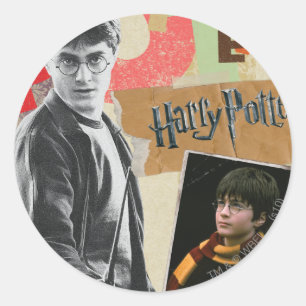 Harry Potter Then and Now Classic Round Sticker