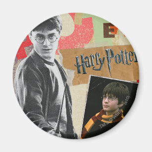 Harry Potter Then and Now Magnet