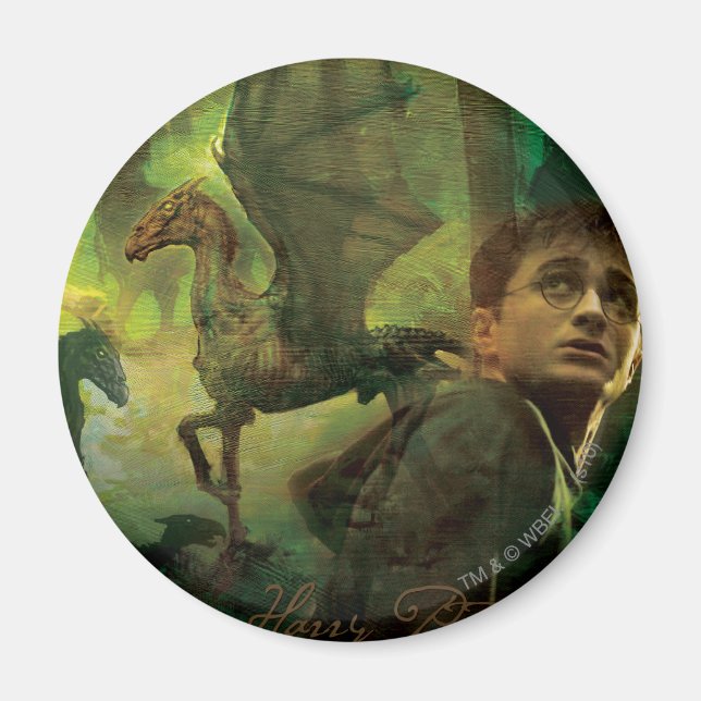 Harry Potter Thestrals Magnet (Front)