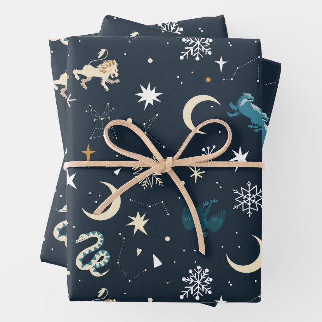 Harry Potter | Winter Constellation Pattern Wrapping Paper Sheet (In situ)