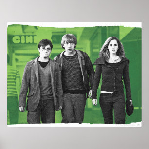 Harry, Ron, and Hermione 1 Poster