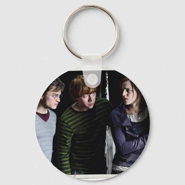 Harry, Ron, and Hermione 4 Key Ring (Front)