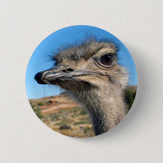Harry the Happy Ostrich 6 Cm Round Badge (Front)