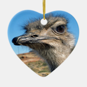Harry the Happy Ostrich Ceramic Tree Decoration