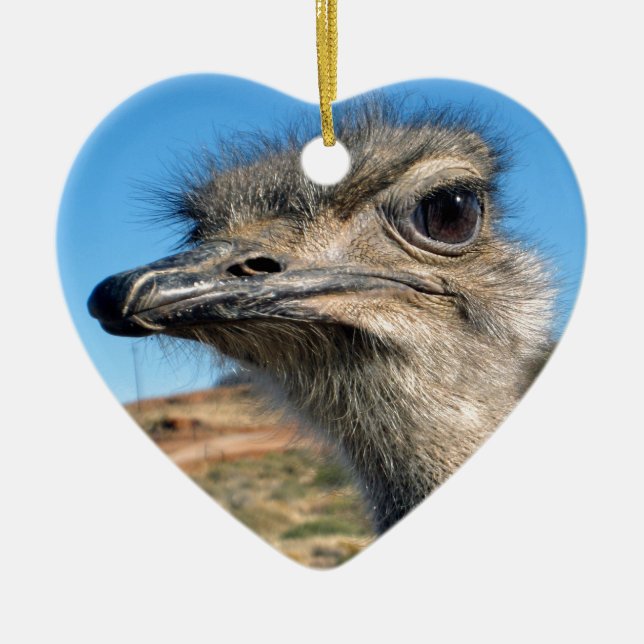 Harry the Happy Ostrich Ceramic Tree Decoration (Front)