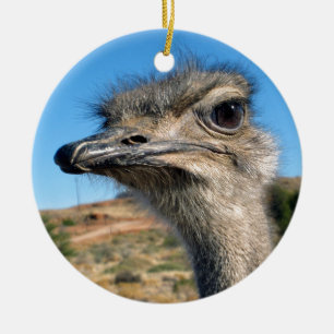 Harry the Happy Ostrich Ceramic Tree Decoration