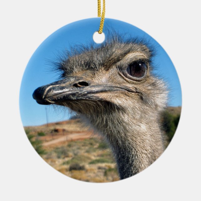 Harry the Happy Ostrich Ceramic Tree Decoration (Front)