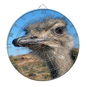 Harry the Happy Ostrich Dartboard