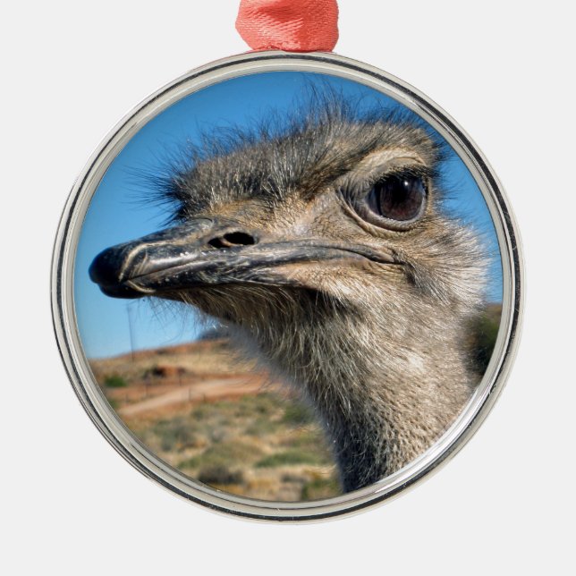 Harry the Happy Ostrich Metal Tree Decoration (Front)