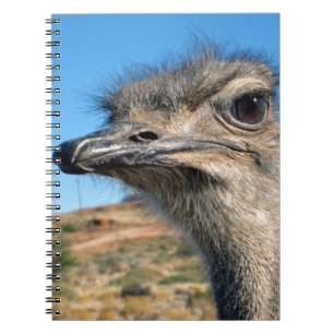 Harry the Happy Ostrich Notebook