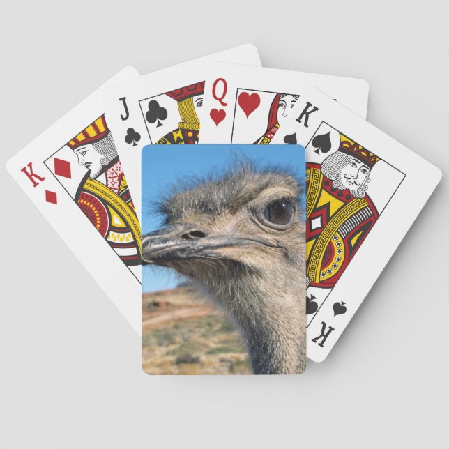 Harry the Happy Ostrich Playing Cards (Back)