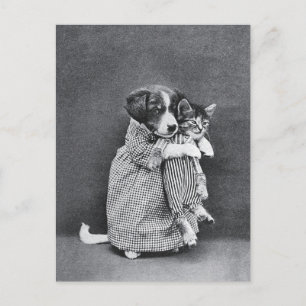 Harry Whittier Frees Miss Kindeyes Animal Land Postcard