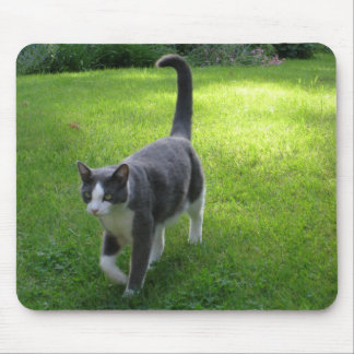 Harrypad 1 mouse mat