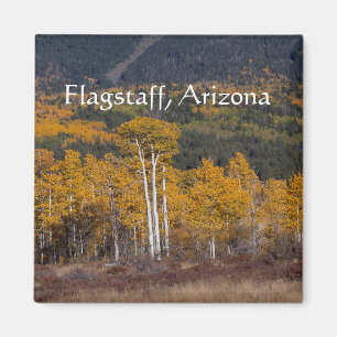 Hart  Prairie Flagstaff, Arizona Magnet
