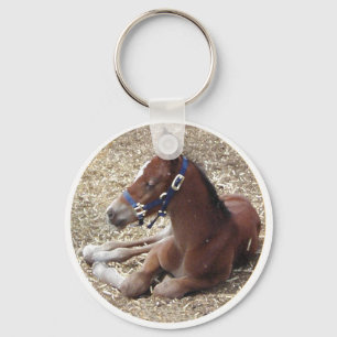 hartlandfoal key ring