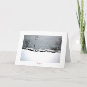 Hartley Mason Park - Holiday Card - Peace