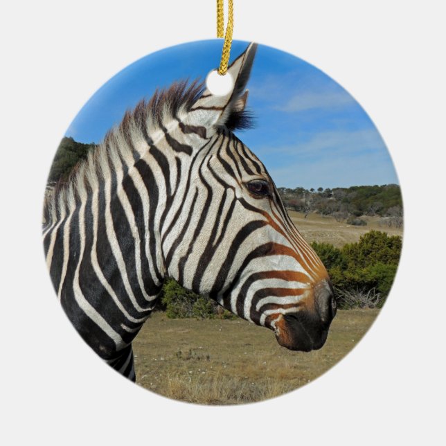 Hartmann's Zebra Profile at Fossil Rim Ceramic Tree Decoration (Front)