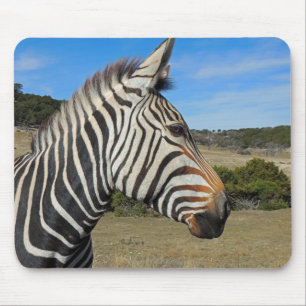 Hartmann's Zebra Profile at Fossil Rim Mouse Mat