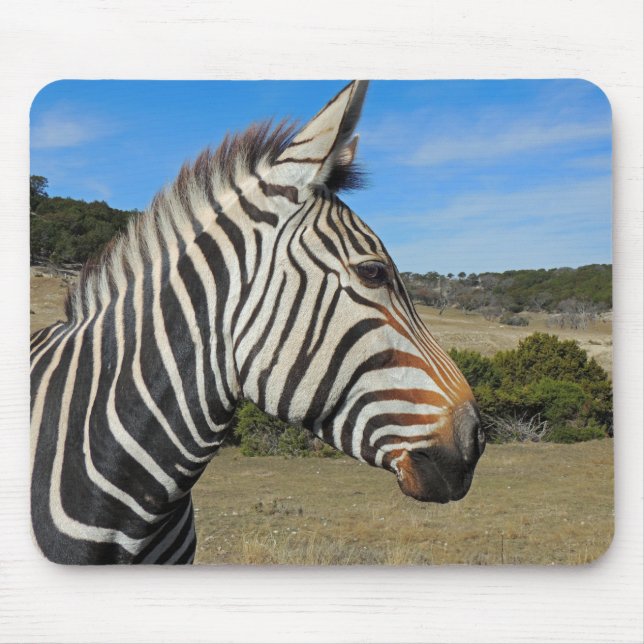 Hartmann's Zebra Profile at Fossil Rim Mouse Mat (Front)