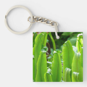 Hart's Tongue Fern Key Ring