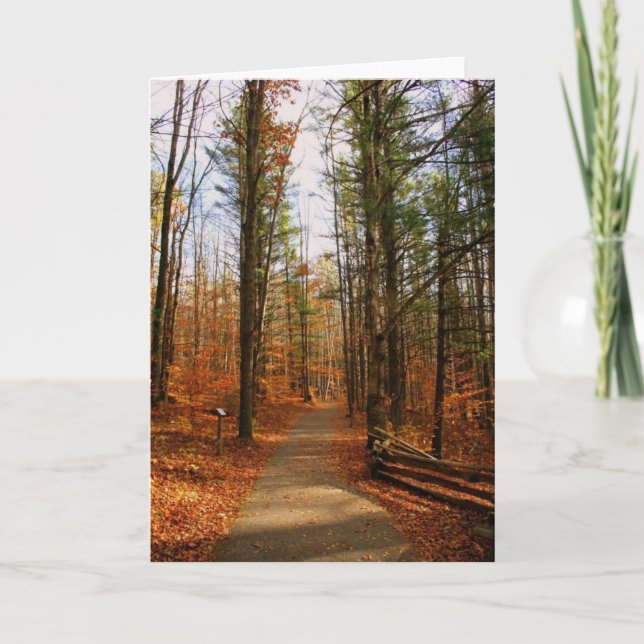 Hartwick Pines State Park in Fall Card (Front)