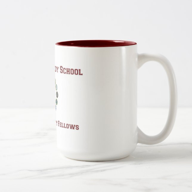 Harvard NSF Mug (Right)