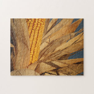 Harvest Corn colourful photo Jigsaw Puzzle